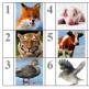 Кроссворд на английском языке для детей «животные в зоопарке Кроссворд по англ на тему животные