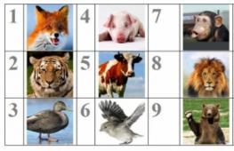 Кроссворд на английском языке для детей «животные в зоопарке Кроссворд по англ на тему животные